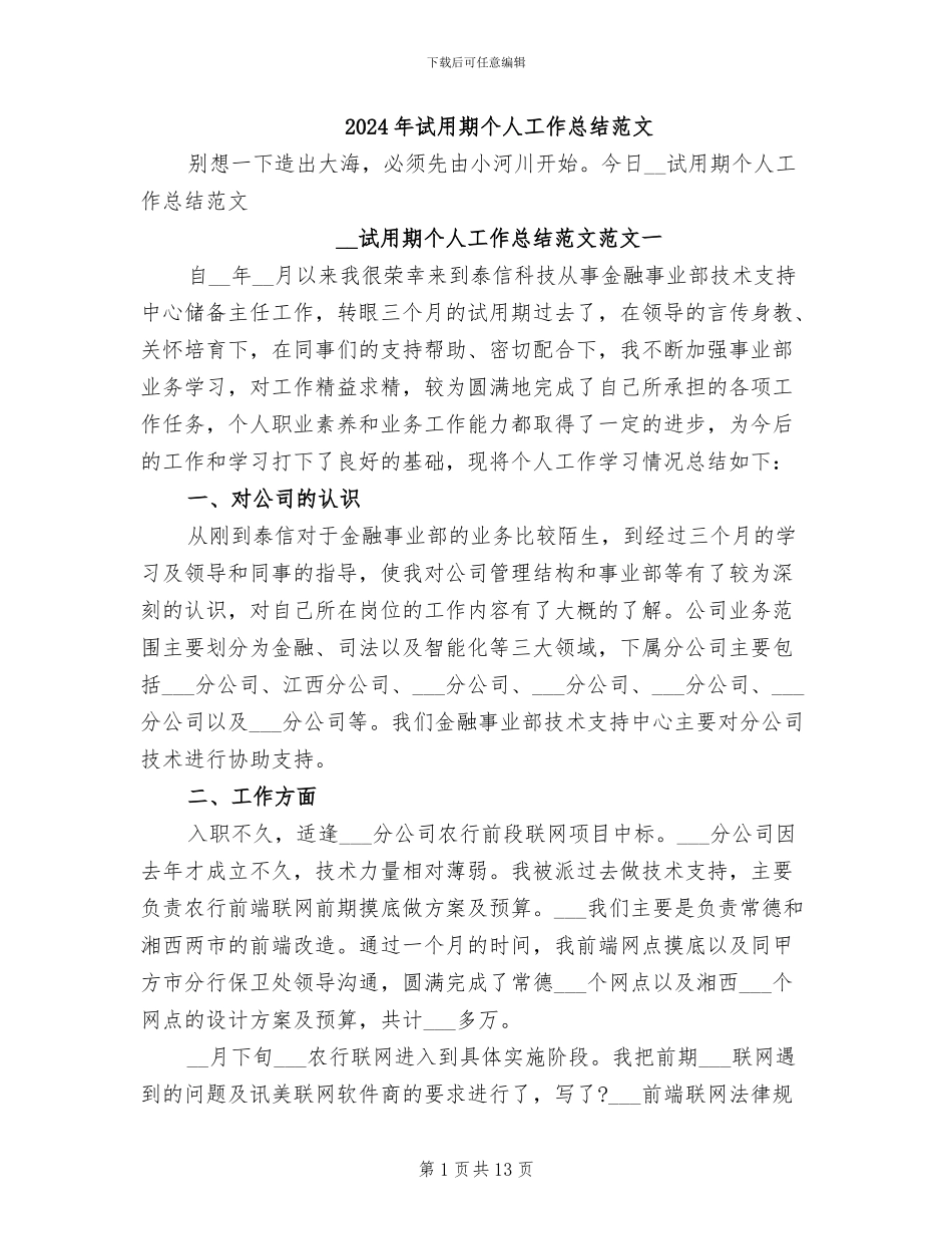 2024年试用期个人工作总结范文_第1页