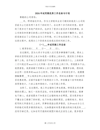 2024年试用期优秀工作总结与计划