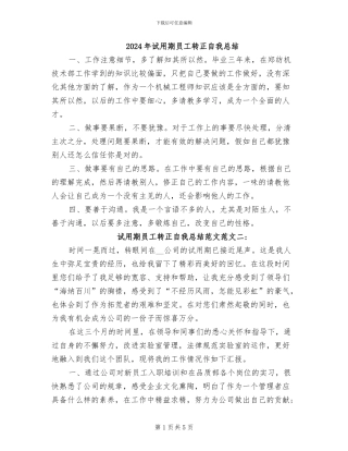 2024年试用期员工转正自我总结