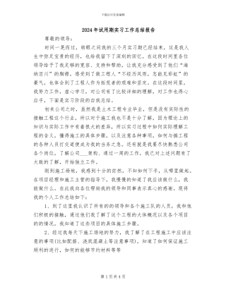 2024年试用期实习工作总结报告