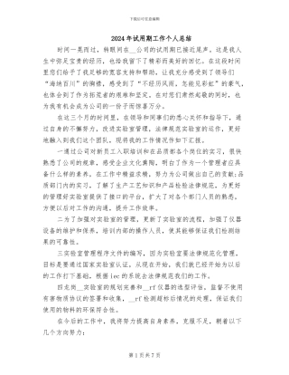 2024年试用期工作个人总结