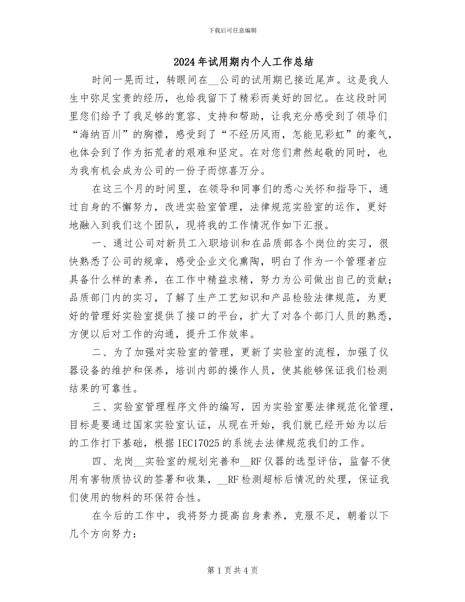 2024年试用期内个人工作总结_第1页