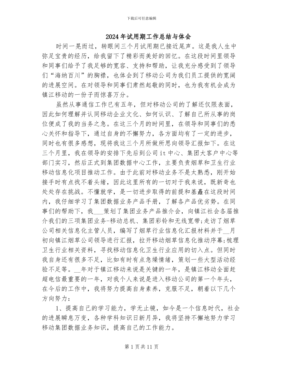 2024年试用期工作总结与体会_第1页