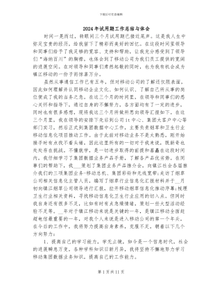 2024年试用期工作总结与体会