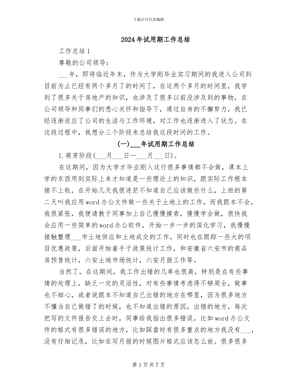 2024年试用期工作总结_第1页