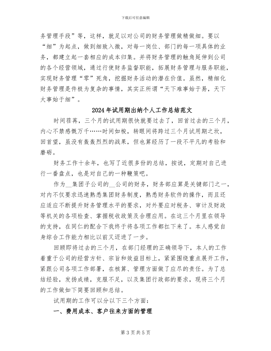 2024年试用期出纳个人工作总结_第3页