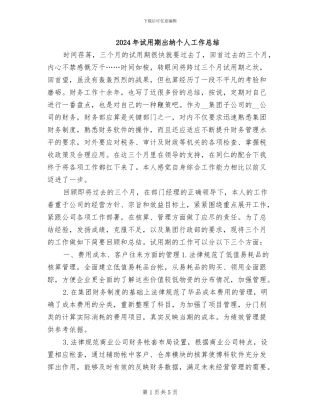 2024年试用期出纳个人工作总结