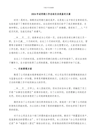 2024年试用期工作总结及自我鉴定五篇