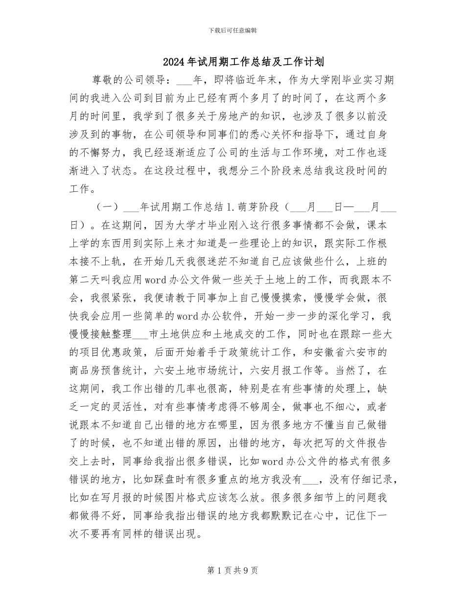 2024年试用期工作总结及工作计划_第1页