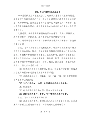 2024年试用期工作总结报告