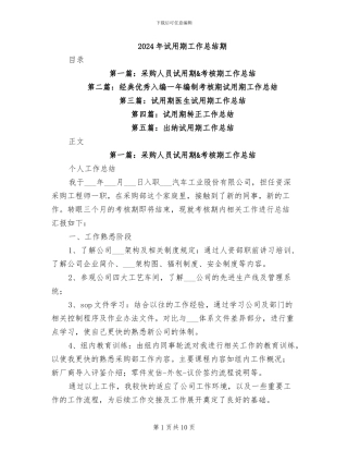 2024年试用期工作总结期