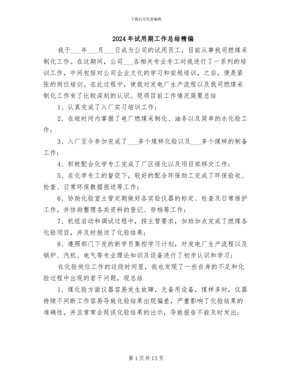 2024年试用期工作总结精编_第1页