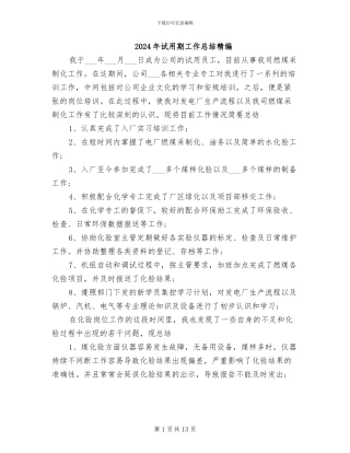 2024年试用期工作总结精编