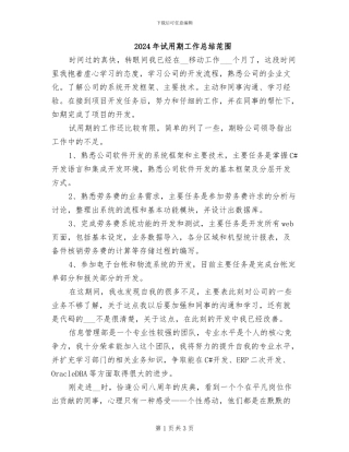 2024年试用期工作总结范围