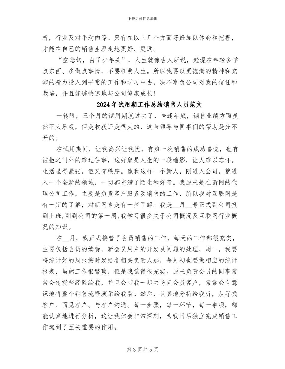 2024年试用期工作总结销售人员_第3页
