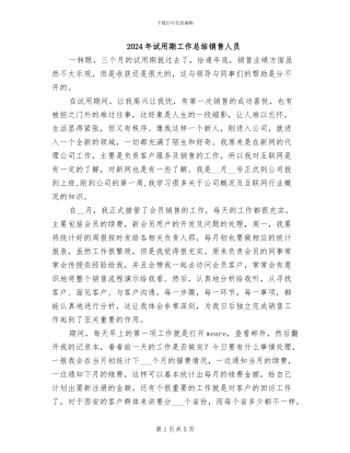 2024年试用期工作总结销售人员