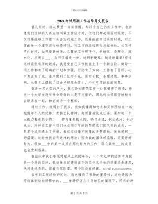 2024年试用期工作总结范文报告