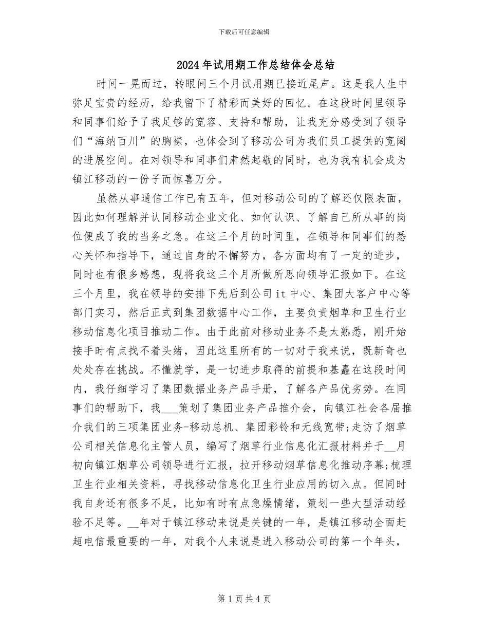 2024年试用期工作总结体会总结_第1页