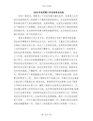 2024年试用期工作总结体会总结