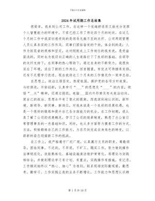 2024年试用期工作总结集