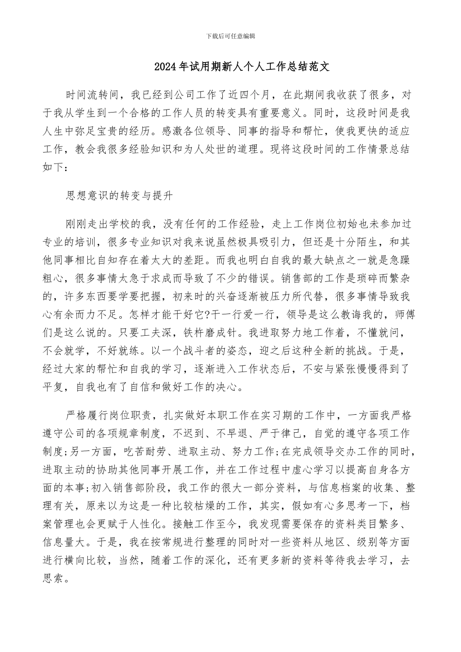 2024年试用期新人个人工作总结范文_第1页