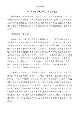 2024年试用期新人个人工作总结范文