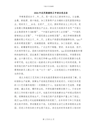 2024年试用期满转正申请自我总结