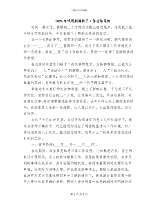 2024年试用期满转正工作总结范例