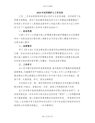 2024年试用期护士工作总结