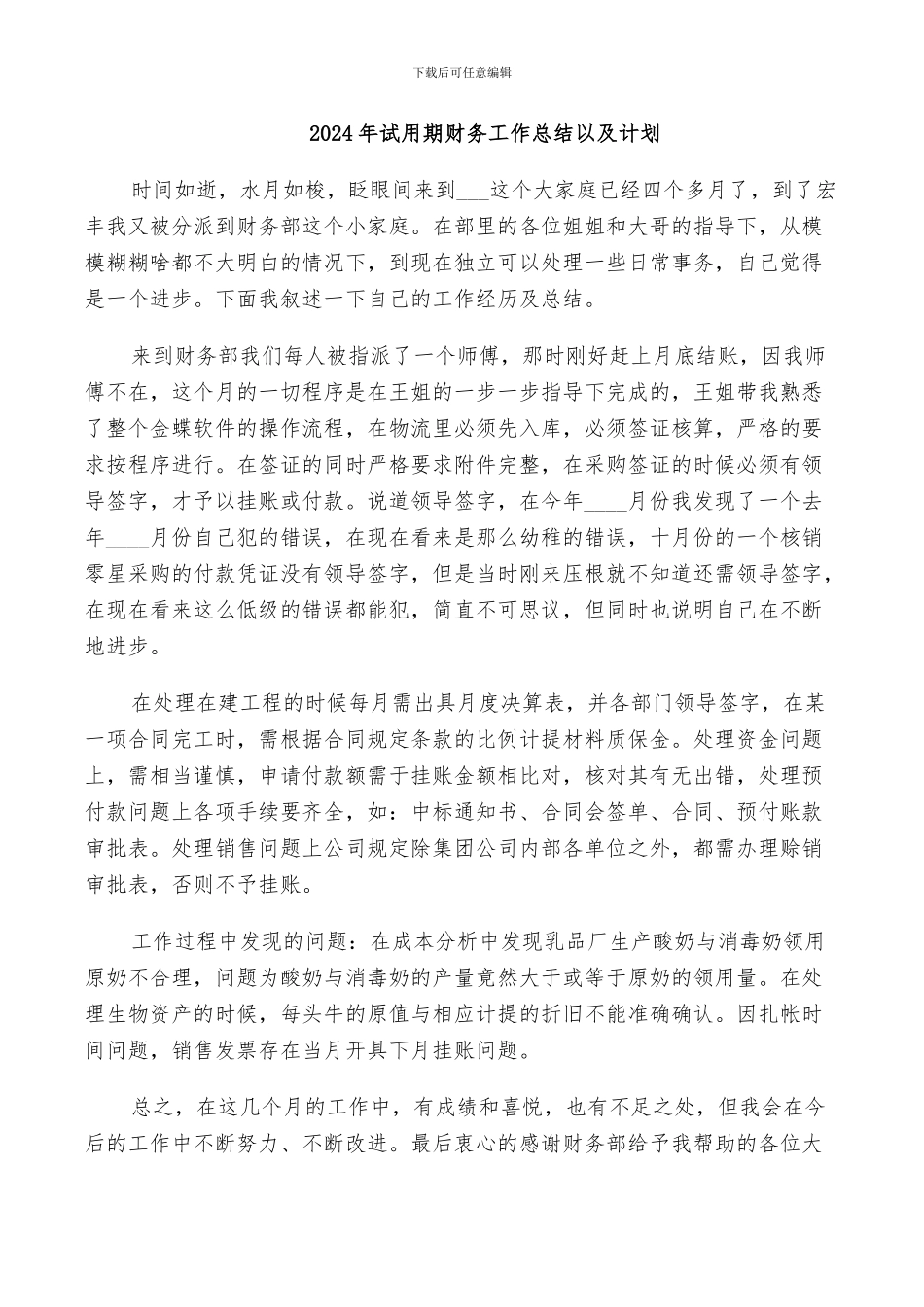 2024年试用期财务工作总结以及计划_第1页
