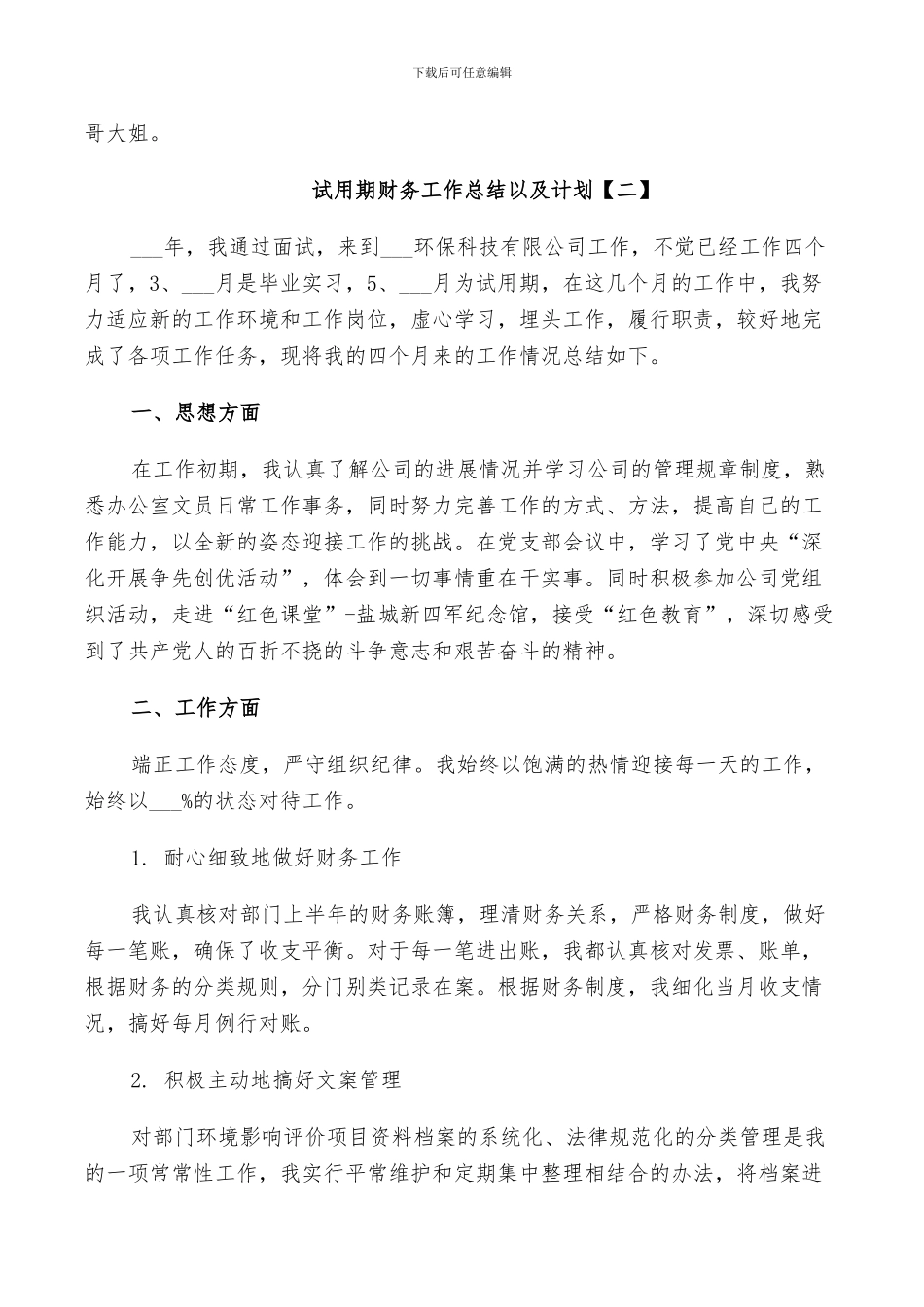 2024年试用期财务工作总结以及计划_第2页