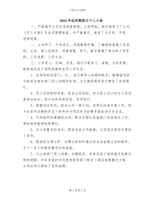 2024年试用期转正个人小结