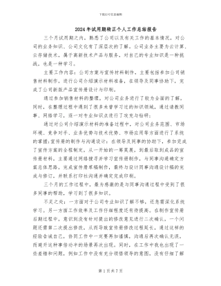 2024年试用期转正个人工作总结报告