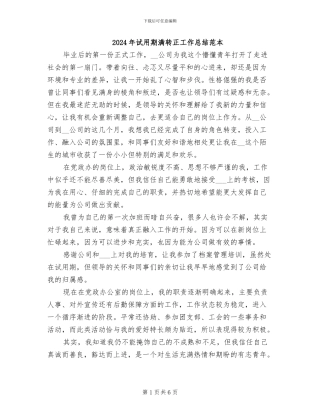 2024年试用期满转正工作总结范本