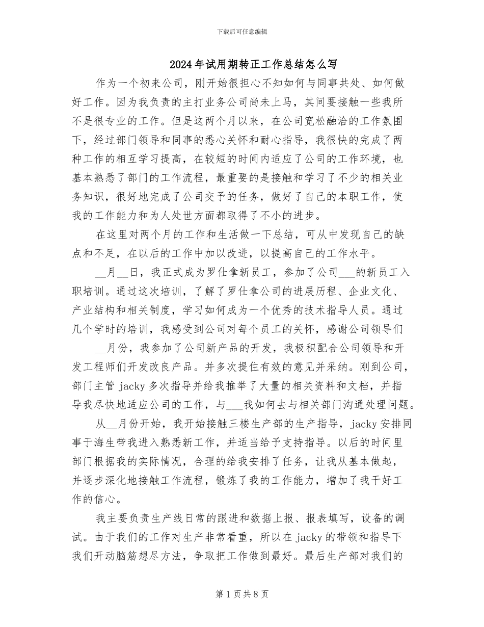 2024年试用期转正工作总结怎么写_第1页