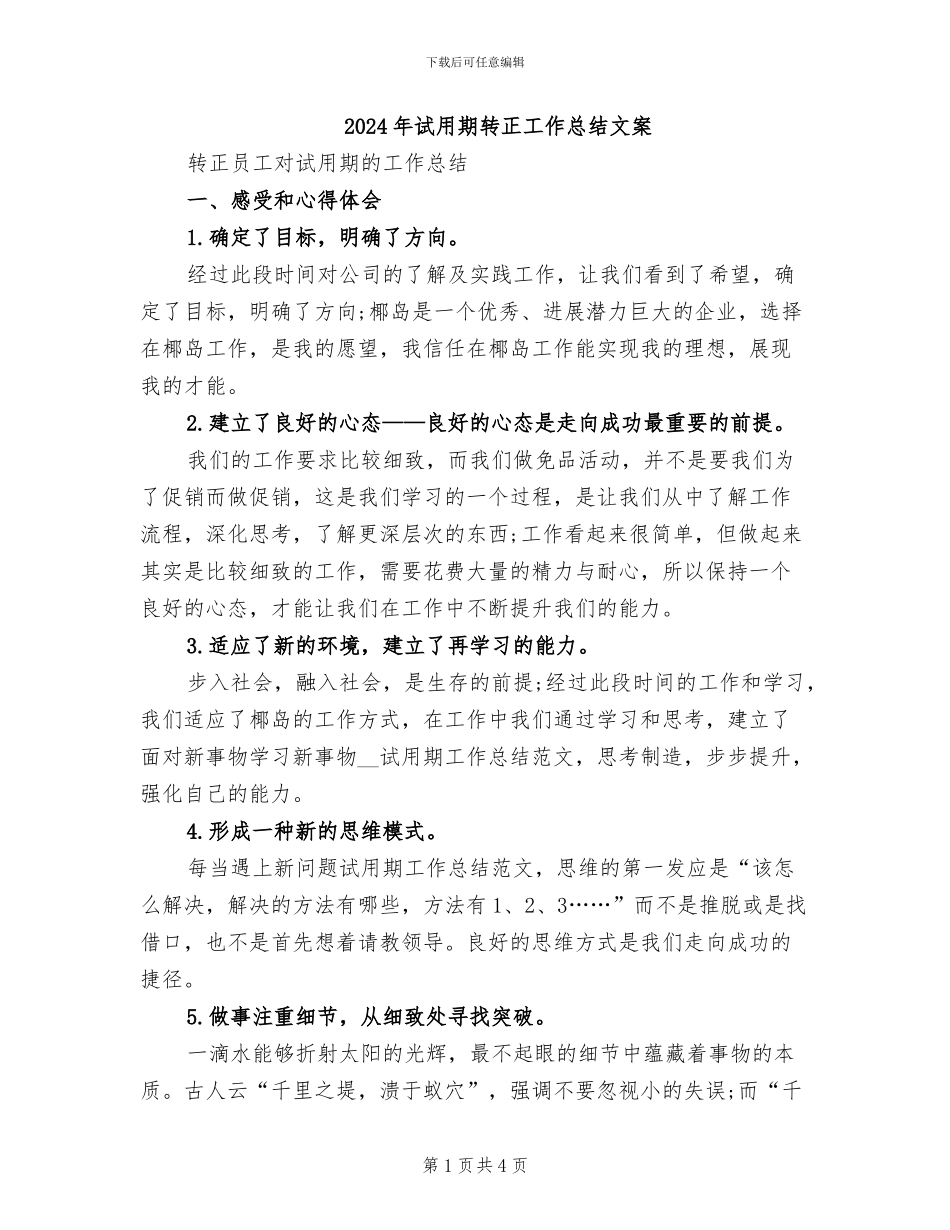 2024年试用期转正工作总结文案_第1页
