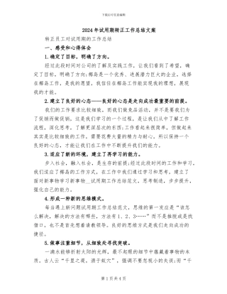 2024年试用期转正工作总结文案