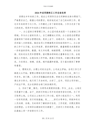 2024年试用期转正工作总结优秀