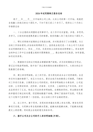 2024年试用期转正报告总结
