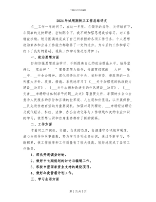 2024年试用期转正工作总结详文