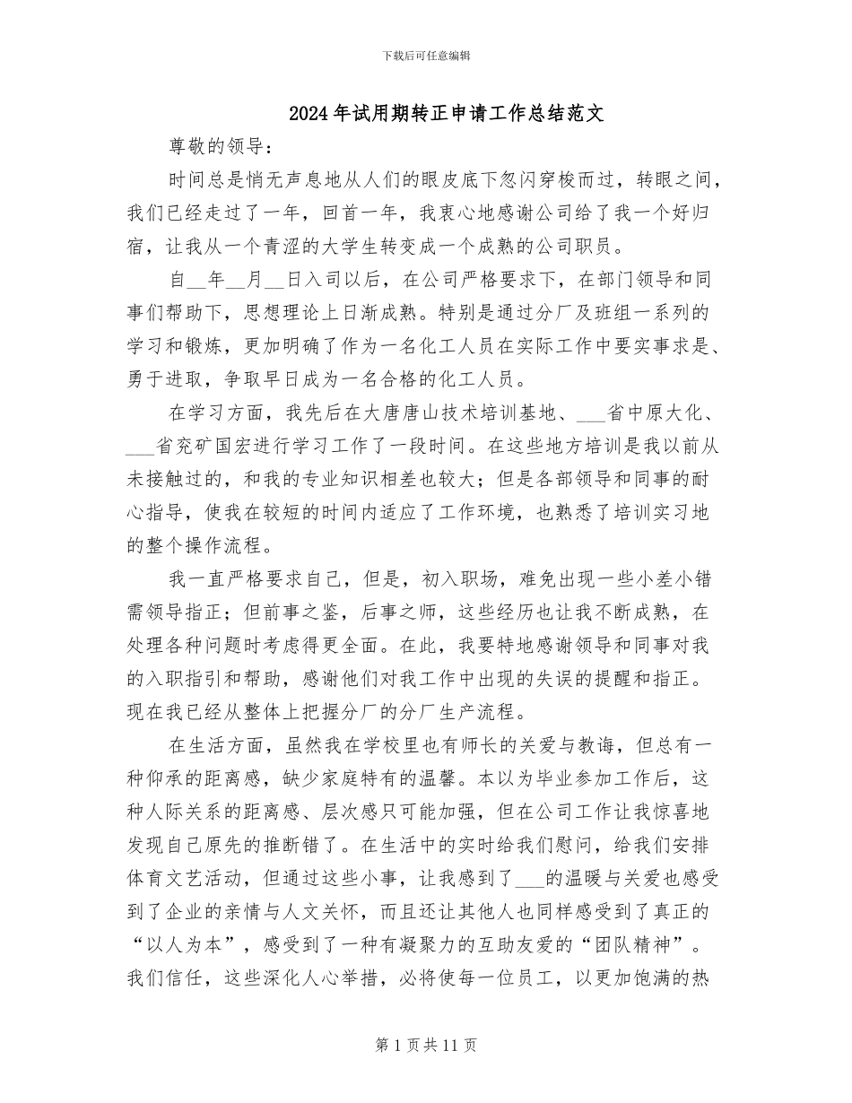 2024年试用期转正申请工作总结范文_第1页