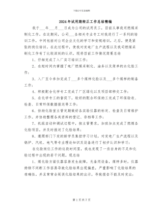 2024年试用期转正工作总结精编