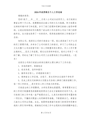 2024年试用转正个人工作总结