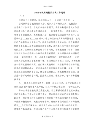 2024年试用期转正自我工作总结