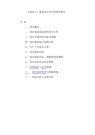 大米加工厂建设可行性报告