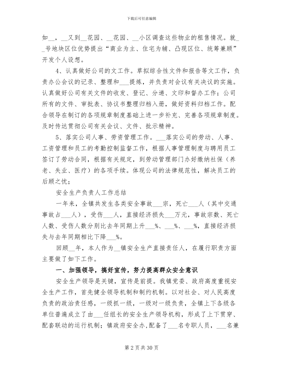 2024年负责人工作总结模板_第2页