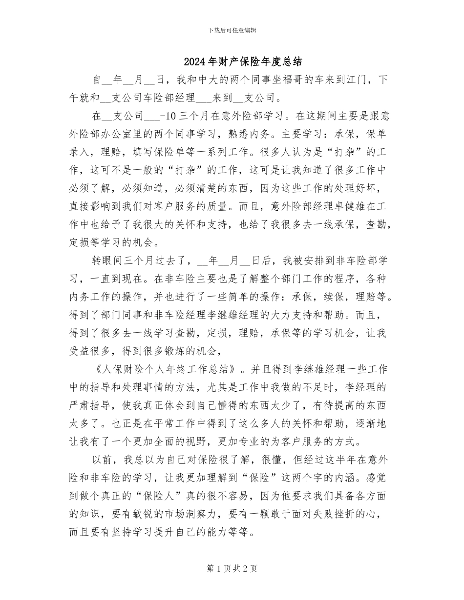 2024年财产保险年度总结_第1页