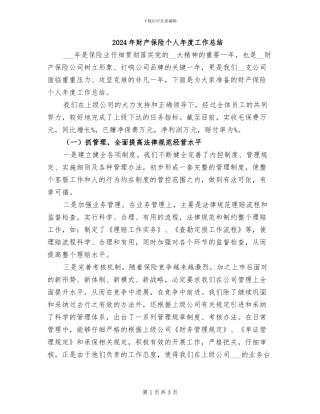 2024年财产保险个人年度工作总结