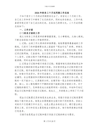 2024年财务三个月试用期工作总结