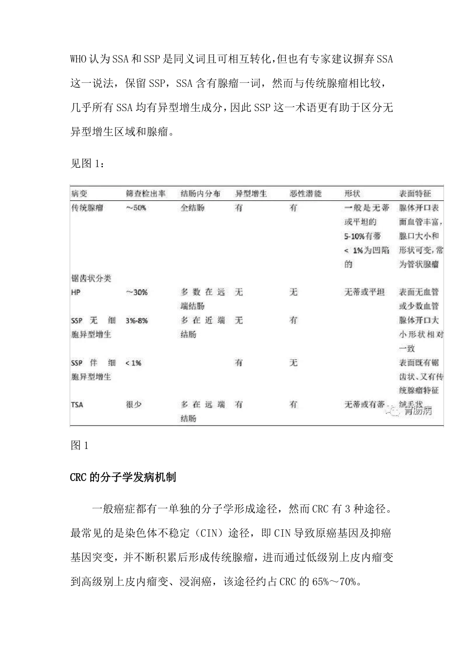 大肠锯齿状病变梳理_第2页